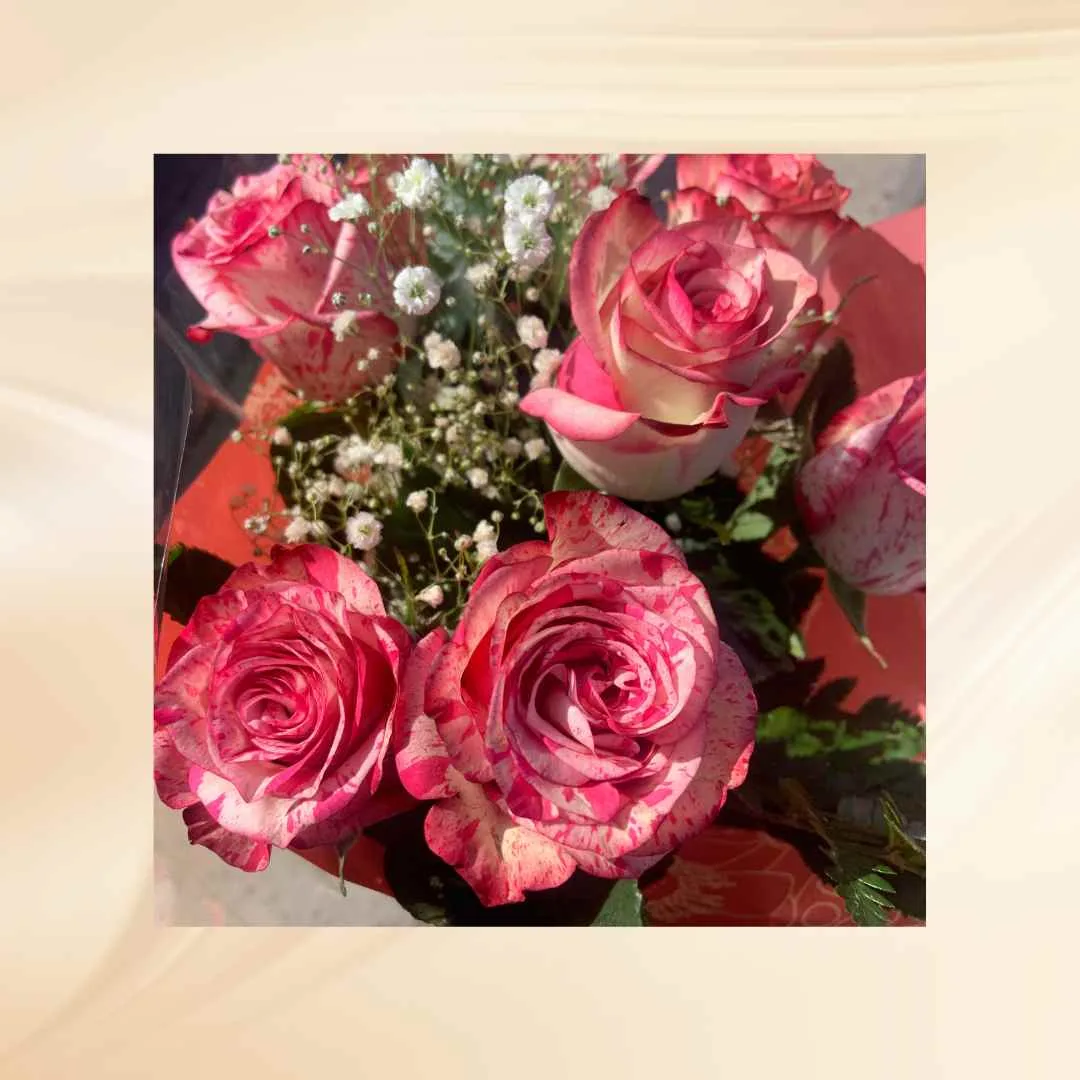 Bloemen op Aruba - Afbeelding 3